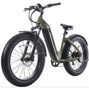 Bicicleta electrica Gotrax Tundra